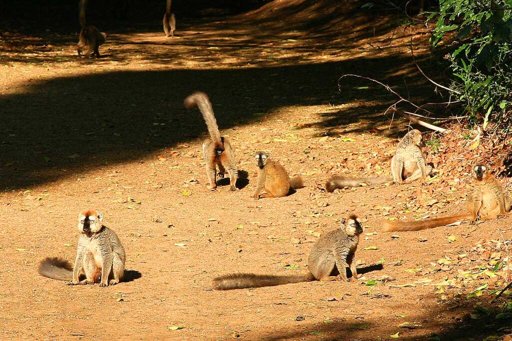 de5